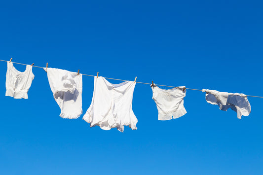 Next Day Wash-Dry-Fold (Delivery Service)
