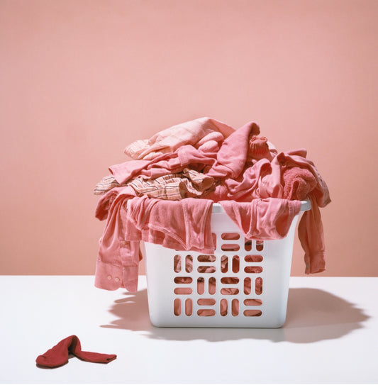 Same Day Wash-Dry-Fold (Customer Drop-off)