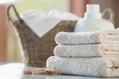 Wash-Dry-Fold Express (Delivery Service)